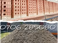 قوچ, گوسفند — عکس 3