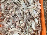 It yemi. Toyuqun Qabirga ve Bud sumuyu, Toyuq farji ciyer boyun — foto 5