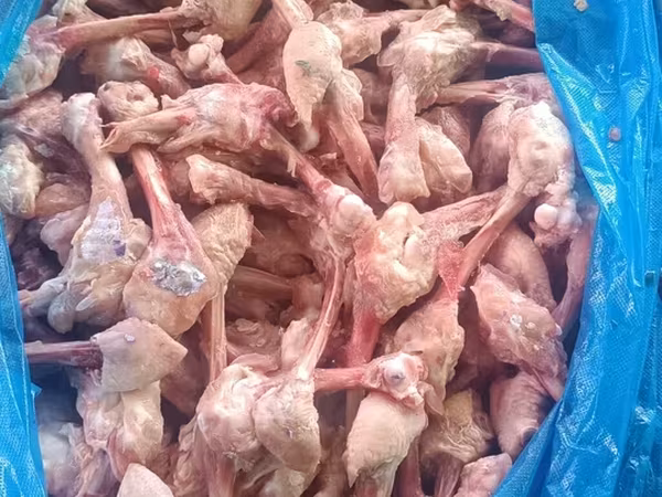 Продаю бройлерные мясные куриные трубчатые кости по 20 сом за кг