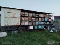 Асалари прецпи сотилади -80та ящик учун — الصورة 1