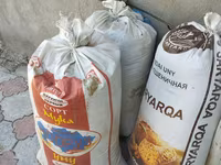 Продаю пшеницу(буудай) в мешках — عکس 2