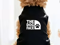 İtlər üçün yay köynəyi (The Dog Face) – (3.6 – 5.9 kq) İtlər üçün — fotografija 1