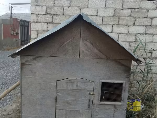 Taxta toyuq/heyvan daxması - Material: qalın faner taxta karkas