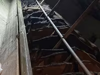 اسب نر, اسب — عکس 2
