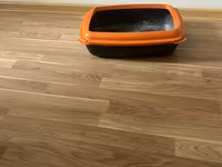 Məhsul: Açıq tip pişik tualeti (kum qabı) - Material: Bərk plastik - — عکس 3