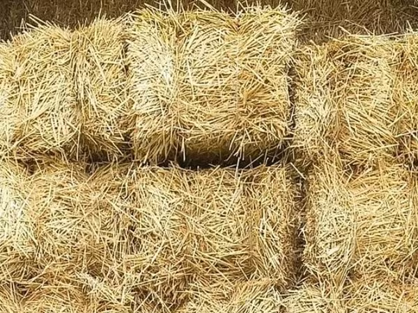 Продаются тюки соломы! Тюки большие, плотные, сухие! Находимся в