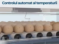 Incubator MS 63 — foto 2