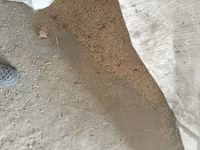 Arpa toxumu – xırda heyvandarlıq və əkiniş üçün Məhsul təsviri: - — foto 5