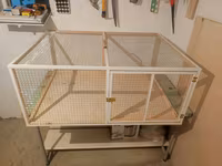 Dovşan,hamster,şinşila,bildirçin,cücə,xamyak,pişik,quş ve s kimi ev — Foto 2