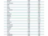 Concentrat proteic(inlocuitor faina de peste) белковый концентрат — รูปภาพ 2
