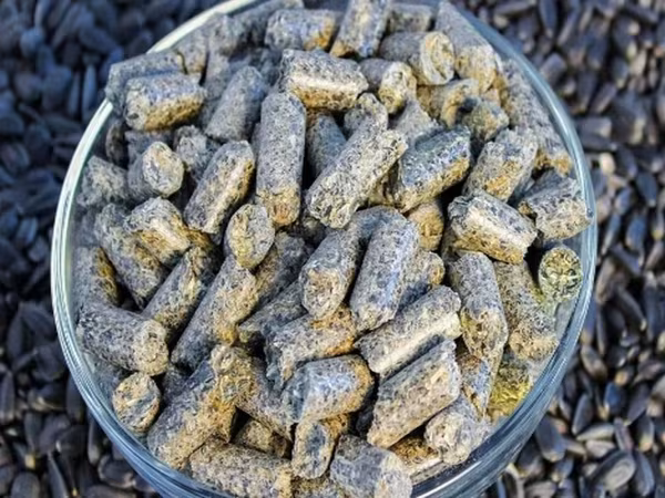 Шрот подсолнечный