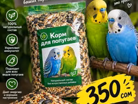 Коом для попугаев 1 кг 350 с — عکس 1