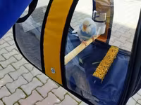 Quş daşıma çantası əldə başqa modellərdə var . həm quslar həmdə — عکس 1