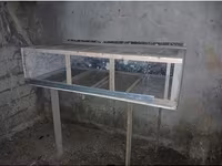 Bildirçin qəfəsi Uzunluq 152sm En 76sm Hündürlük 40sm Hazır — foto 1