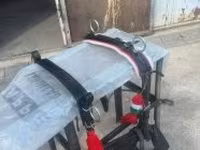 At, Atlar — foto 5