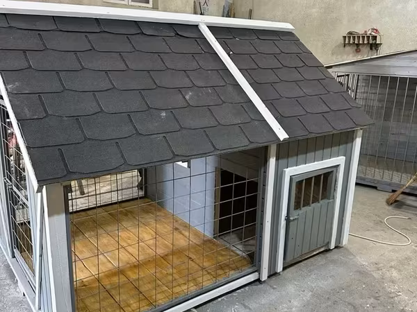 Շան բուն վոլյեռ (կոդ)