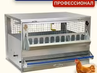 Клетка для кур-несушек «Профессионал» (1 ярус, до 10 голов) — الصورة 1