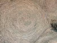 Корма для животных — 1-rasm