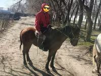 Hing, Lovak — 1. fotó