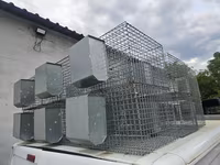 Vind custi pentru Iepuri. — عکس 2