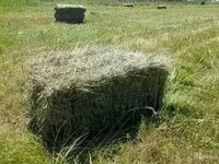 Продам сено солому в тюках — foto 1