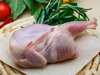 Carnita de prepelita — Foto 1