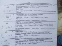 گھوڑا, Russian Trotter — تصویر 4