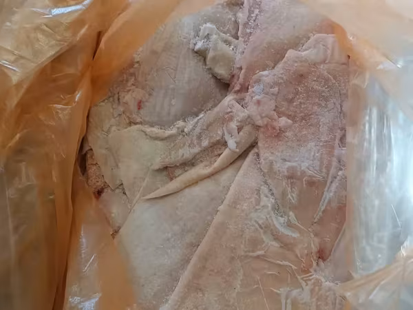 Шкура 1 сорт