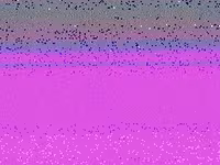 میش, گوسفند — عکس 4