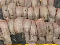 Баранина, конина субпродукты куплю на постоянной основе. Viber WhatsApp Telegram. — фото 5