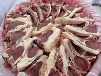 قوچ, گوسفند — عکس 7