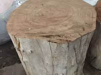 گاو نر, گاو — عکس 4