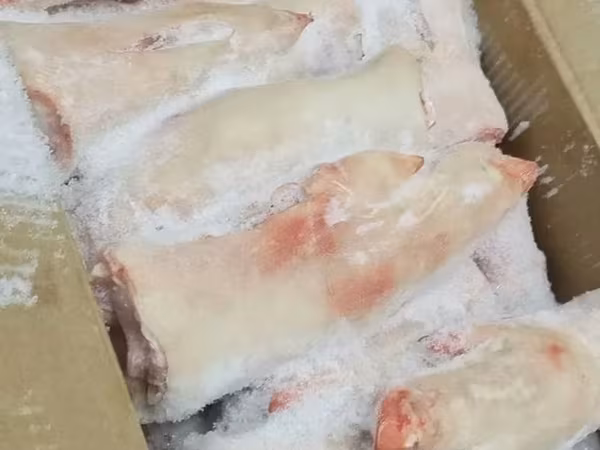 Щека на шкуре