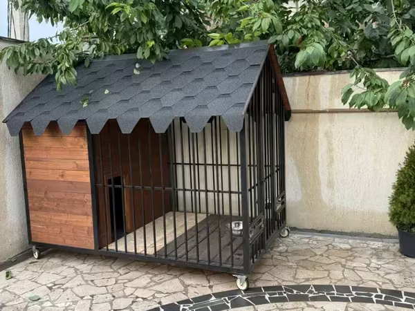 Շան բուն Ալաբաի համար Ազյատ