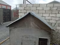 Taxta toyuq/heyvan daxması - Material: qalın faner taxta karkas — foto 4