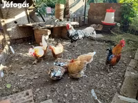 ሃምቡርግ — ፎቶ 2