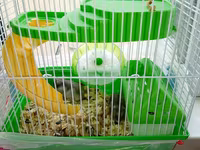 Cücə hamsterlər üçün tam komplekt qəfəs dəsti. Şəkillərdə görünən — รูปภาพ 2
