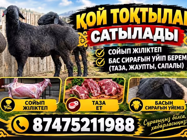 Ovan, Овце