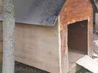 Açıq havada istifadə üçün taxta it evi - Material: qalın taxta — Foto 1