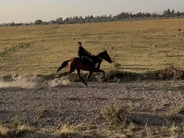 Hoppe, French Trotter