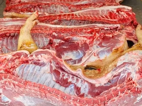 Porci de carne