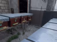 Arıçılıq üçün taxta arı yeşikləri (pətəklər). İçində 6 ay arı — عکس 3