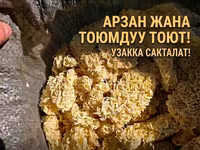 Яичная лапша для скота — экономичный и сытный корм. - Назначение — ፎቶ 1