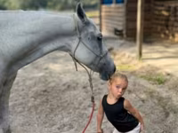 Էգ ձի, Quarter Horse — լուսանկար 4