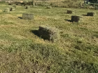 Խոտի տուկ Խառ խոտ — Foto 5