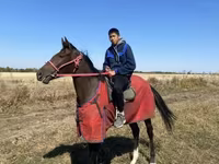 Kobila, Anglo-Arabian — fotografija 4