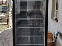 Ինկուբատոր թռչունների ձվերի ինկուբացիայի համար — foto 2