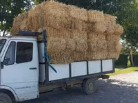 Продаю пшеничная саломы любое количество по 120сом с доставкой - — foto 2
