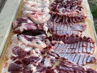 قوچ, گوسفند — عکس 4