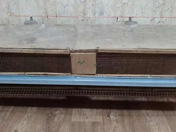 Bildircin qefesi,icinde 6 eded bildircinle satilir,hamisi bir uerde